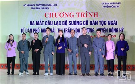 Tổng quan nghiên cứu và định hướng bảo tồn ngôn ngữ - văn hóa của dân tộc Ngái ở Việt Nam