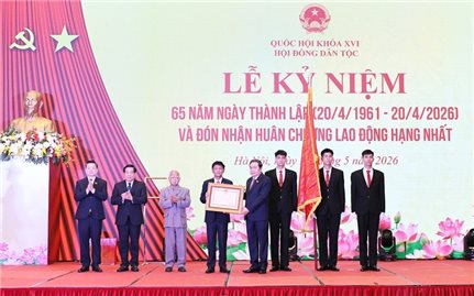 Bảo đảm chính sách dân tộc được thể hiện đầy đủ, thực chất trong từng dự án luật, nghị quyết