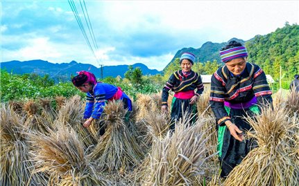 Cấu trúc việc làm của lao động dân tộc thiểu số ở Việt Nam hiện nay - Những vấn đề đặt ra