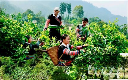 Đến Pang Cáng để chạm vào chiều sâu văn hóa Mông