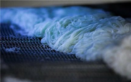 Nguyen Binh Noodle Factory and the aspiration to build a traditional noodle brand