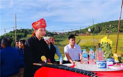 Giá trị nhân văn trong Lễ hội Mừng lúa mới của đồng bào Thái, Mường vùng Tây Bắc