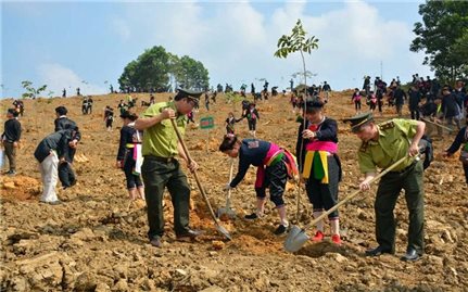 Preserving and promoting the traditional cultural values ​​of ethnic minorities associated with protecting the environment