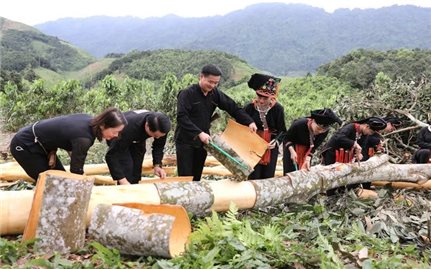 Lào Cai: Triển khai thực hiện Chiến lược công tác dân tộc giai đoạn 2026 -2030, tầm đến năm 2045