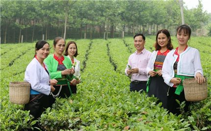 Thành phố Hà Nội thông qua chính sách về đất đai đối với đồng bào dân tộc thiểu số