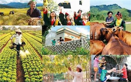 Giao kế hoạch đầu tư công vốn ngân sách Trung ương cho các bộ, địa phương thực hiện Chương trình MTQG