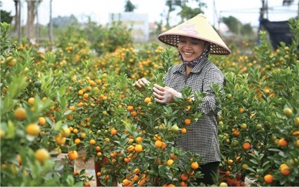 Khi tinh thần tương trợ của giáo dân được đặt lên bệ đỡ của chính sách