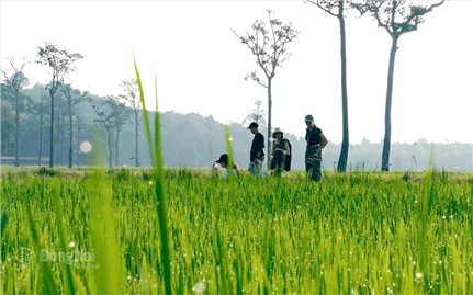 Ta Lai - where traditional cultural values are preserved and promoted