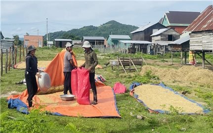 Gia Lai: Khẩn trương hoàn thiện các thủ tục, triển khai kịp thời, hiệu quả Chương trình Mục tiêu quốc gia