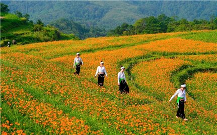 Xóm nhỏ bình yên bên thung lũng Mai Châu