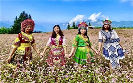 Thảo nguyên Suôi Thầu trên vùng cao Pà Vầy Sủ