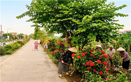 Bình yên xóm đạo Tân Tiến