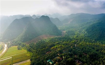 Đánh thức tiềm năng kinh tế dưới tán rừng ở miền Tây Nghệ An