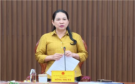 Thứ trưởng Nông Thị Hà: Quảng Ngãi cần tập trung đẩy nhanh tiến độ thực hiện các Chương trình MTQG