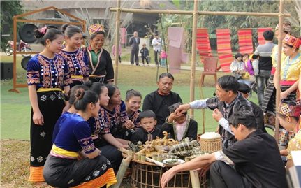 Institutional reform and state management of the cultural development of ethnic minorities in Vietnam