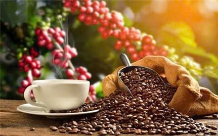 Dư vị của một miền ký ức
