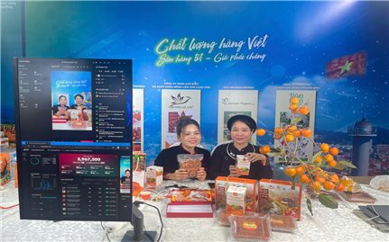 The Impact of digital transformation on livelihood and labor structures in ethnic minority and mountainous areas: A Case Study of Lam Binh Commune, Tuyen Quang Province