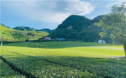 Chiềng Đi - Điểm hẹn bình yên
