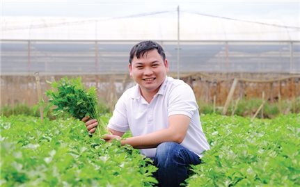 A clean agricultural product brand owned by a Tay entrepreneur