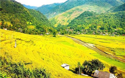 Những điều chỉ có ở mùa vàng Tú Lệ