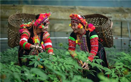 Phát triển vùng đồng bào dân tộc thiểu số từ nguồn lực con người và tri thức địa phương
