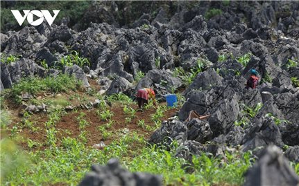 Folk knowledge of the Mong people regarding climate change adaptation in the Northern mountainous region