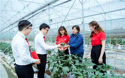 Dòng vốn Agribank bồi đắp động lực phát triển từ khu vực “Tam nông”