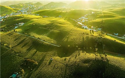 Son La province truly deserves its reputation as an agricultural hub