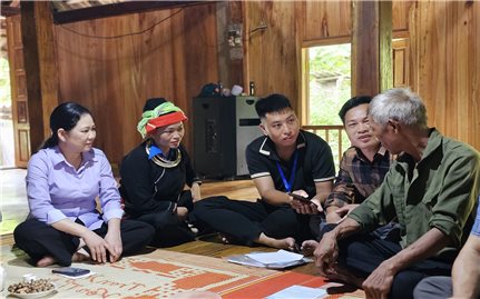 Hệ thống dữ liệu phục vụ theo dõi việc thực hiện Công ước CERD kinh nghiệm quốc tế và gợi mở với Việt Nam