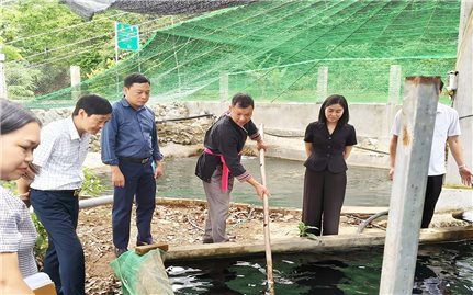Đề xuất nội dung, cơ chế, chính sách thực hiện Chương trình mục tiêu quốc gia phát triển văn hóa - xã hội, nông thôn, dân tộc và miền núi giai đoạn 2026 - 2035