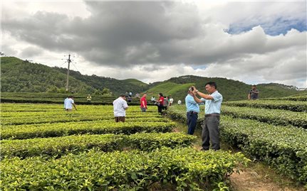 Lạng Sơn: Phát huy hiệu quả vai trò Người có uy tín trong thực hiện mục tiêu phát triển bền vững vùng dân tộc thiểu số