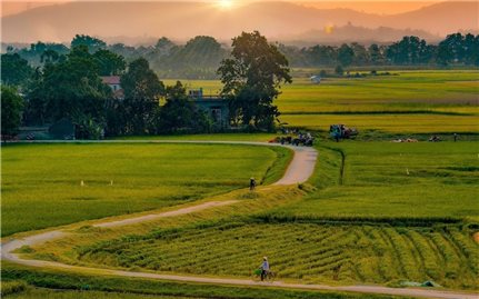 Về quê mẹ, về với yêu thương