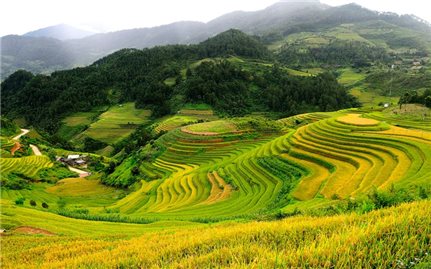 Chương trình MTQG 417: Từ đầu tư nguồn lực đến kiến tạo năng lực phát triển bền vững vùng đồng bào dân tộc thiểu số
