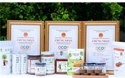 OCOP - Giải pháp phát triển sản xuất bền vững vùng đồng bào dân tộc thiểu số và miền núi