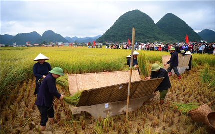 Từ chính sách đến sinh kế bền vững