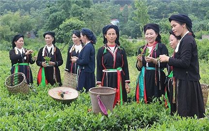 Chuyển đổi số trong thực hiện Chương trình MTQG 417: Từ quản lý đến quản trị phát triển vùng đồng bào dân tộc thiểu số