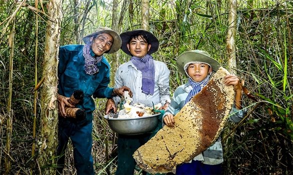 Mùa mật ngọt dưới tán rừng U Minh Hạ