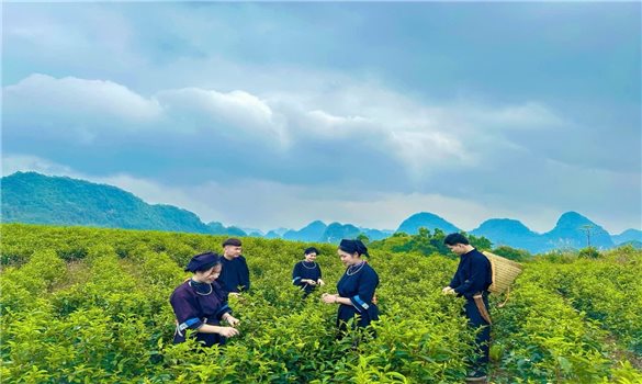 Triển khai Chương trình MTQG 417 ở Cao Bằng: Từ xác định đúng đối tượng đến nhận diện đúng nguyên nhân nghèo