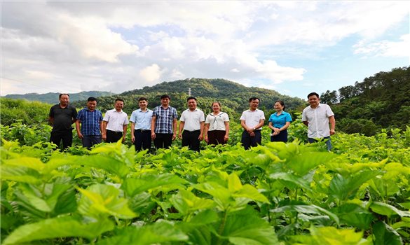 Cao Bằng: Đẩy mạnh truyền thông chính sách là giải pháp thực hiện hiệu quả Chương trình MTQG