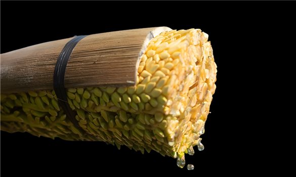 From traditional craft to Sokfarm brand