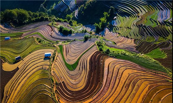 Ruộng bậc thang Mù Cang Chải - Không chỉ là phương tiện mưu sinh