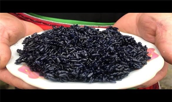 Món xôi đen truyền thống trong dịp Tết Thanh minh của đồng bào Tày, Nùng