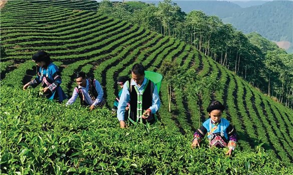 Thành lập Ban Chỉ đạo Trung ương Chương trình mục tiêu quốc gia xây dựng nông thôn mới, giảm nghèo bền vững và phát triển kinh tế - xã hội vùng đồng bào dân tộc thiểu số và miền núi giai đoạn 2026-2030