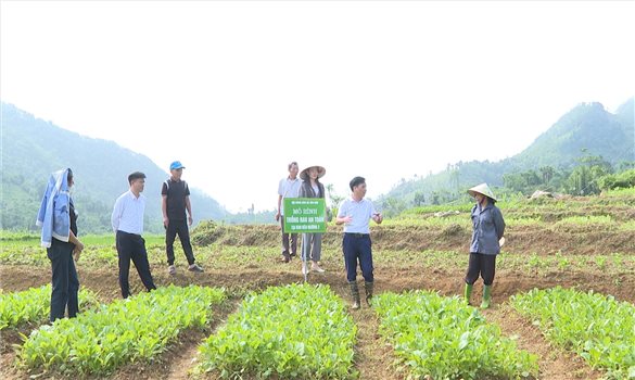 Mô hình kinh tế hiệu quả ở Đèo Mương 2