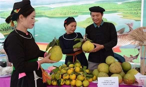 Khởi nghiệp từ bản sắc văn hóa và tri thức