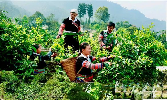 Đến Pang Cáng để chạm vào chiều sâu văn hóa Mông