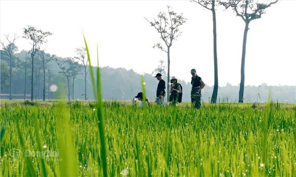 Tà Lài - Nơi giá trị văn hóa truyền thống được phát huy