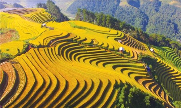 Văn học dân tộc thiểu số và hành trình giữ tiếng mẹ đẻ