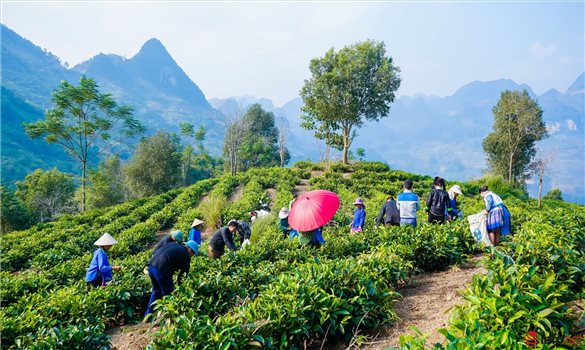 Lào Cai: Tập trung triển khai thực hiện hiệu quả chính sách dân tộc