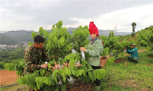 Những thành quả phát triển ấn tượng ở vùng đồng bào dân tộc thiểu số tỉnh Sơn La